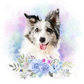 Custom Digital Pet Portrait (Floral Style)