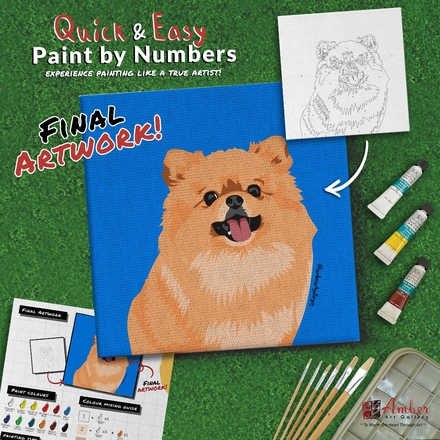 paint-by-numbers-painting-kit-dog-pomeranian