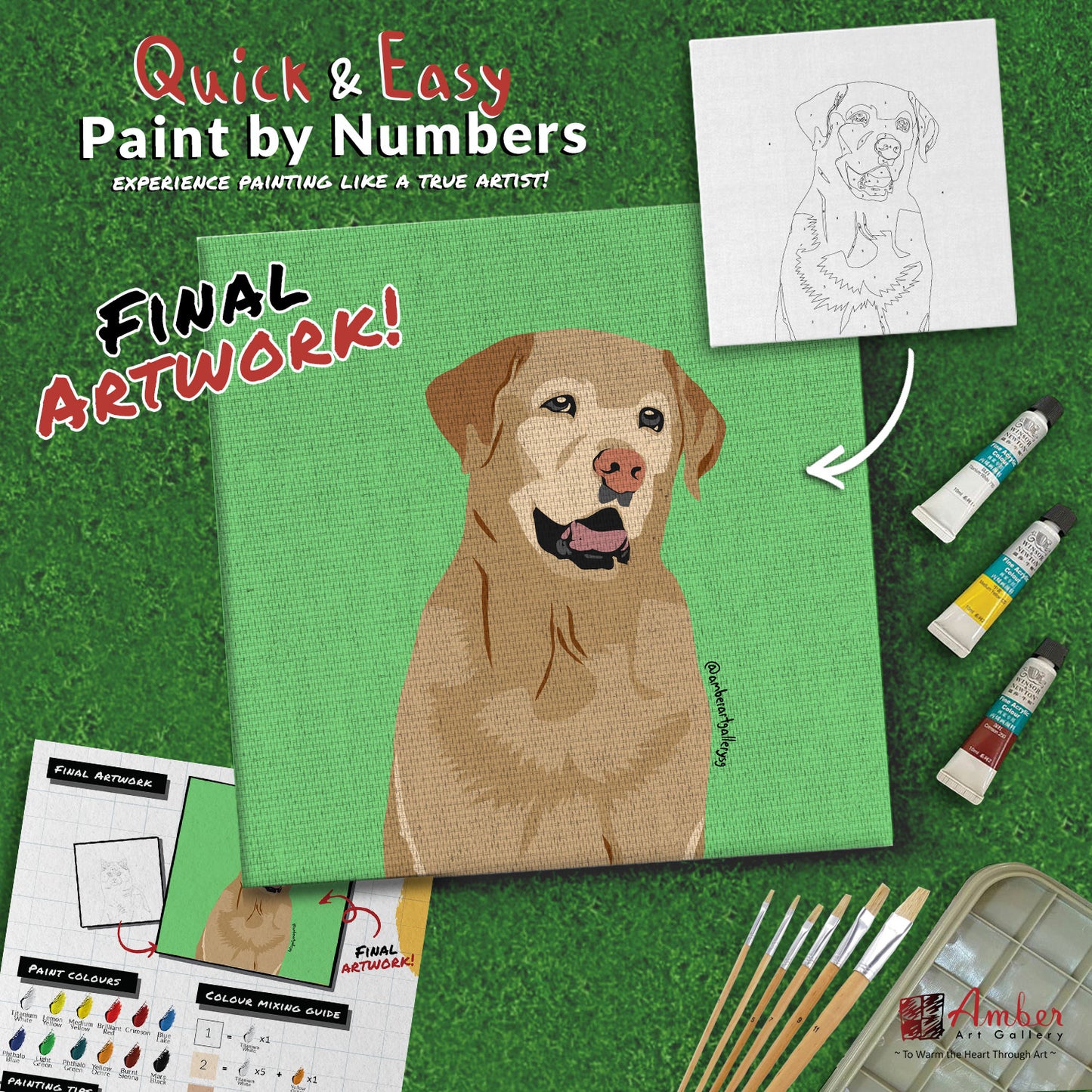 paint-by-numbers-painting-kit-dog-labrador-retriever