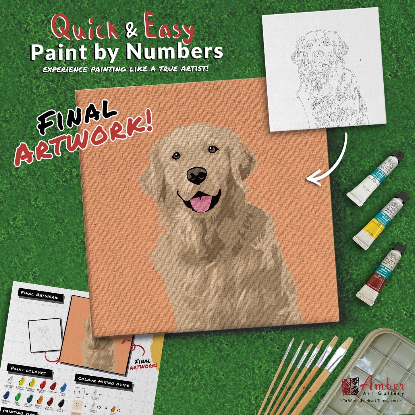 paint-by-numbers-painting-kit-dog-golden-retriever
