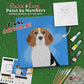 paint-by-numbers-painting-kit-dog-beagle