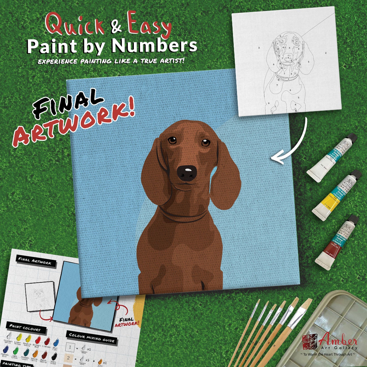 paint-by-numbers-painting-kit-dog-dachshund