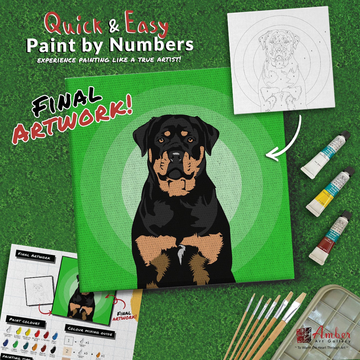 paint-by-numbers-painting-kit-dog-rottweiler