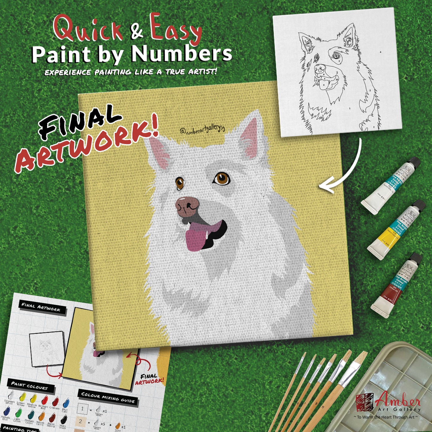 paint-by-numbers-painting-kit-dog-japanese-spitz