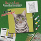 paint-by-numbers-painting-kit-cat-tabby-cat