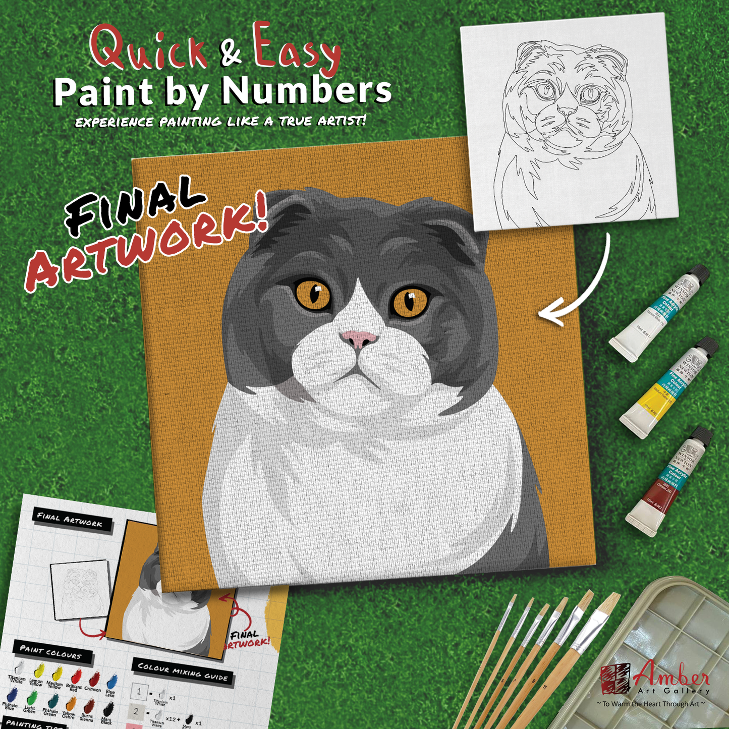 paint-by-numbers-painting-kit-cat-scottish-fold