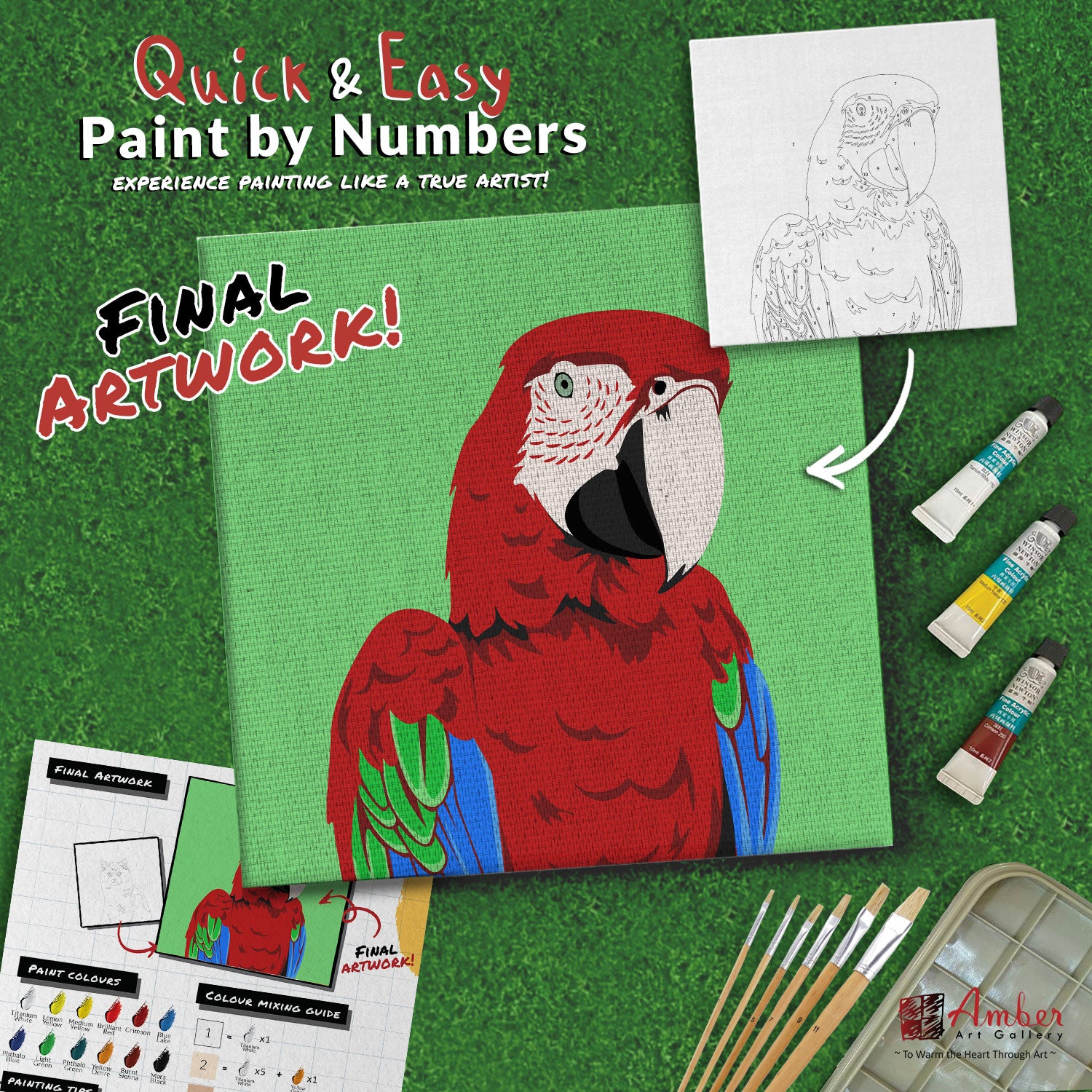 paint-by-numbers-painting-kit-bird-macaw