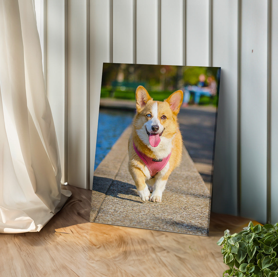 Custom Pet Photo Canvas Print
