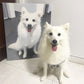 Custom Pet Portrait Oil Painting